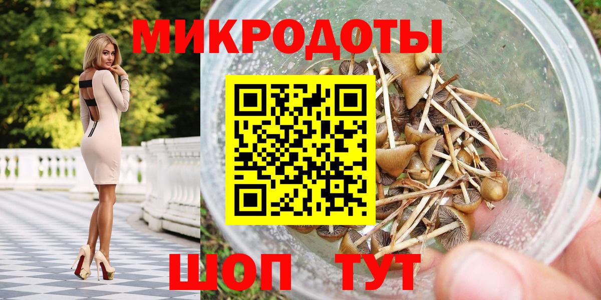 Железноводск  Галлюциногенные грибы ЛСД  Галлюциногенные грибы Psilocybe  закладки  Вход с VPN 