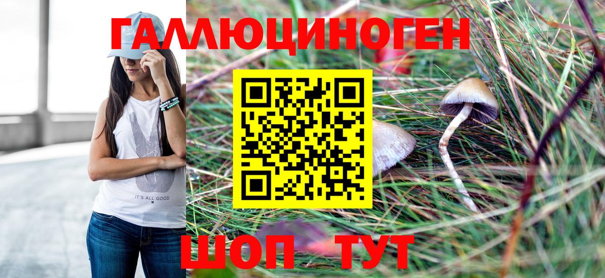 Псилоцибиновые грибы Cubensis Железноводск